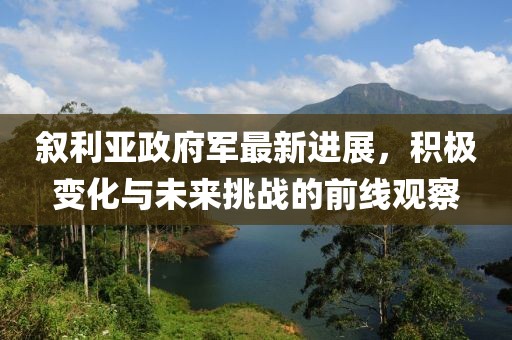 敘利亞政府軍最新進(jìn)展，積極變化與未來挑戰(zhàn)的前線觀察