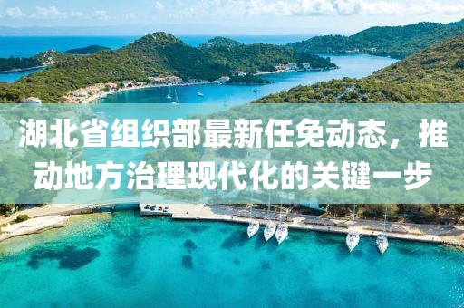 湖北省組織部最新任免動態(tài)，推動地方治理現(xiàn)代化的關鍵一步