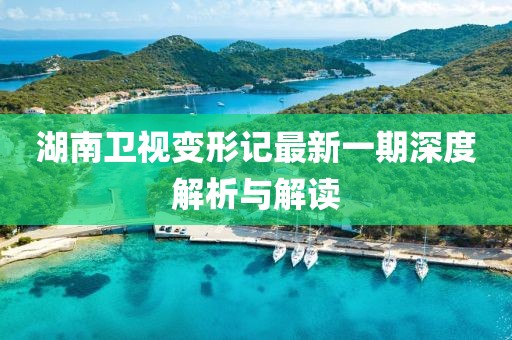 湖南衛(wèi)視變形記最新一期深度解析與解讀
