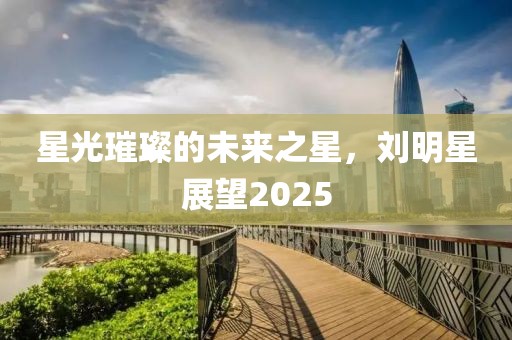 星光璀璨的未來之星，劉明星展望2025