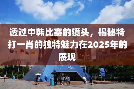 透過中韓比賽的鏡頭，揭秘特打一肖的獨(dú)特魅力在2025年的展現(xiàn)