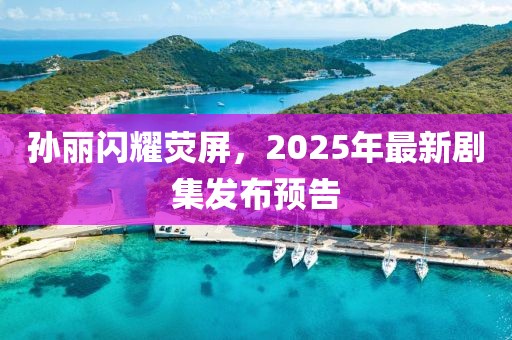 孫麗閃耀熒屏，2025年最新劇集發(fā)布預(yù)告