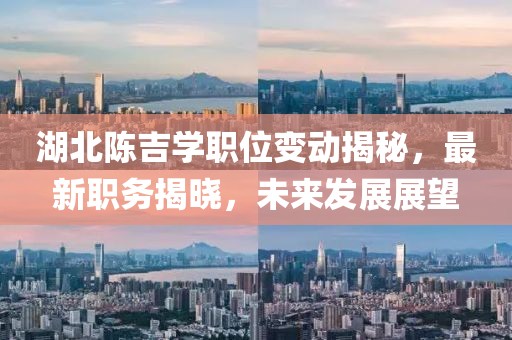 湖北陳吉學(xué)職位變動(dòng)揭秘，最新職務(wù)揭曉，未來發(fā)展展望