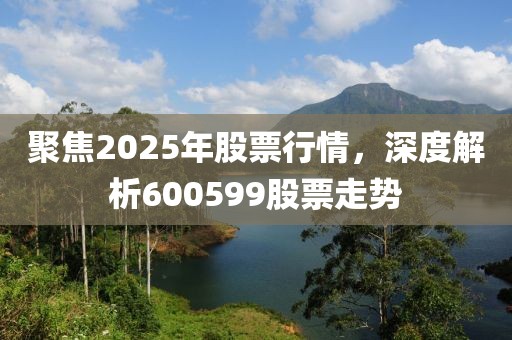 聚焦2025年股票行情，深度解析600599股票走勢(shì)