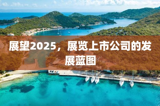 展望2025，展覽上市公司的發(fā)展藍(lán)圖