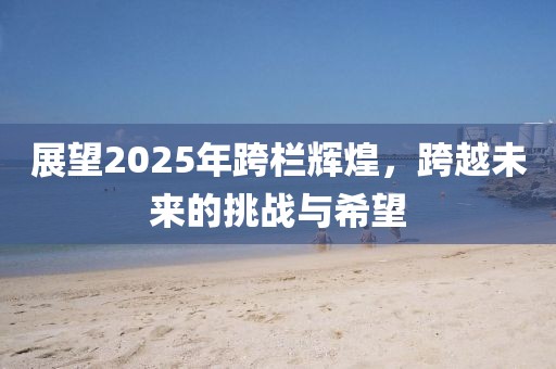 展望2025年跨欄輝煌，跨越未來的挑戰(zhàn)與希望