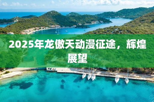 2025年龍傲天動漫征途，輝煌展望