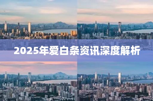 2025年愛白條資訊深度解析
