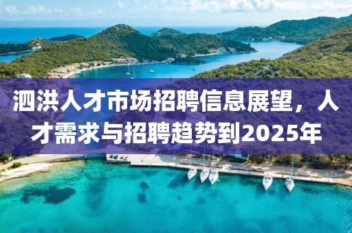 泗洪人才市場招聘信息展望，人才需求與招聘趨勢到2025年