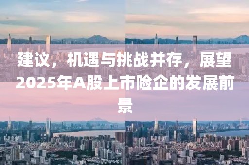 建議，機(jī)遇與挑戰(zhàn)并存，展望2025年A股上市險(xiǎn)企的發(fā)展前景