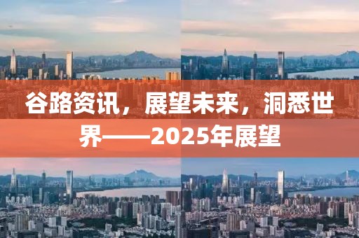 谷路資訊，展望未來，洞悉世界——2025年展望