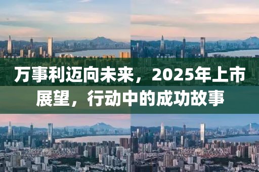 萬事利邁向未來，2025年上市展望，行動中的成功故事