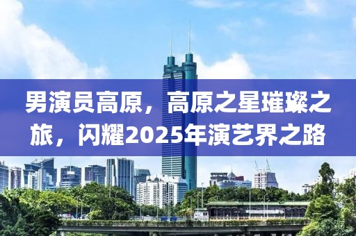 男演員高原，高原之星璀璨之旅，閃耀2025年演藝界之路