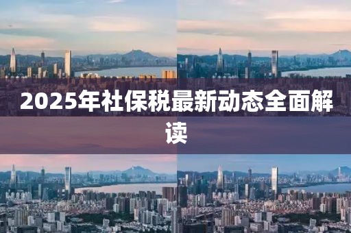 2025年社保稅最新動態(tài)全面解讀