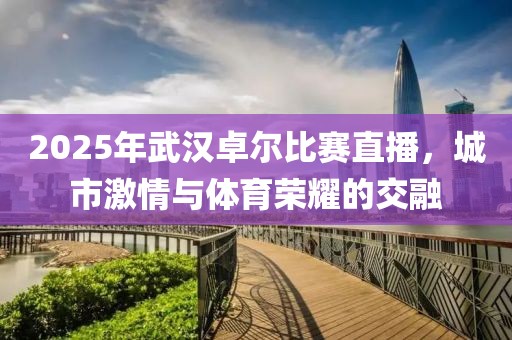 2025年武漢卓爾比賽直播，城市激情與體育榮耀的交融