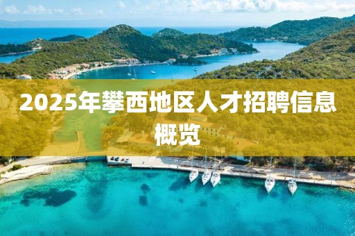 2025年攀西地區(qū)人才招聘信息概覽