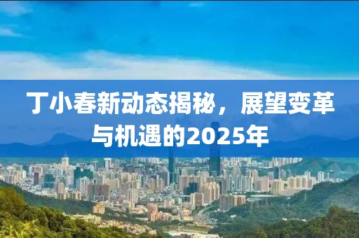 丁小春新動(dòng)態(tài)揭秘，展望變革與機(jī)遇的2025年
