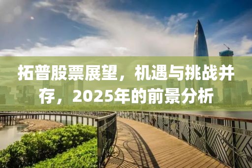拓普股票展望，機遇與挑戰(zhàn)并存，2025年的前景分析
