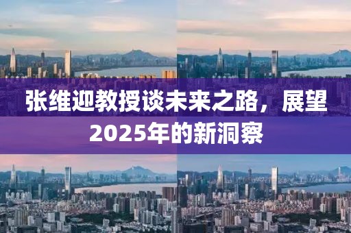 張維迎教授談未來之路，展望2025年的新洞察