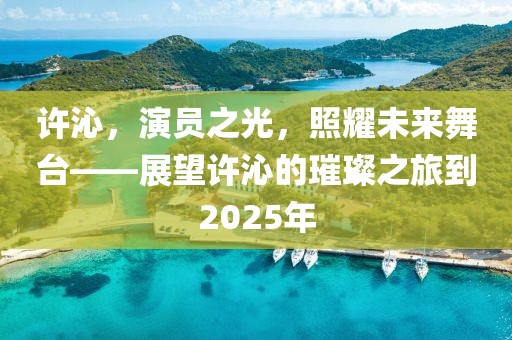 許沁，演員之光，照耀未來(lái)舞臺(tái)——展望許沁的璀璨之旅到2025年