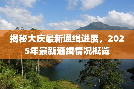 揭秘大慶最新通緝進展，2025年最新通緝情況概覽