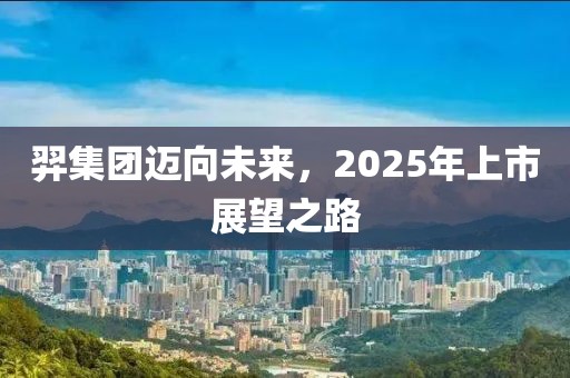 羿集團邁向未來，2025年上市展望之路