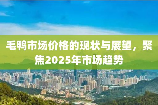 毛鴨市場價格的現(xiàn)狀與展望，聚焦2025年市場趨勢