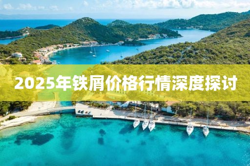 2025年鐵屑價(jià)格行情深度探討
