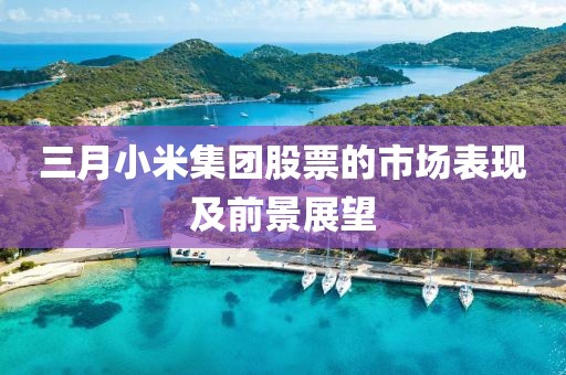 三月小米集團(tuán)股票的市場(chǎng)表現(xiàn)及前景展望