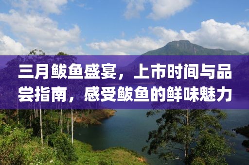 三月鲅魚盛宴，上市時間與品嘗指南，感受鲅魚的鮮味魅力