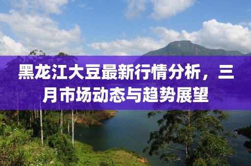 黑龍江大豆最新行情分析，三月市場動(dòng)態(tài)與趨勢展望