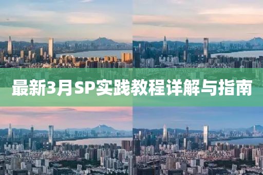 最新3月SP實(shí)踐教程詳解與指南