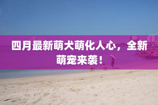 四月最新萌犬萌化人心，全新萌寵來襲！