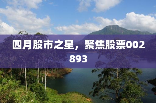 四月股市之星，聚焦股票002893