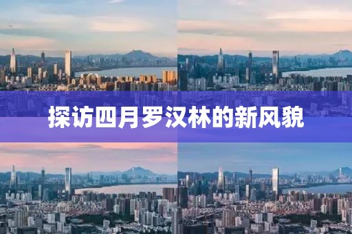 冰凝夢(mèng) 第5頁(yè)