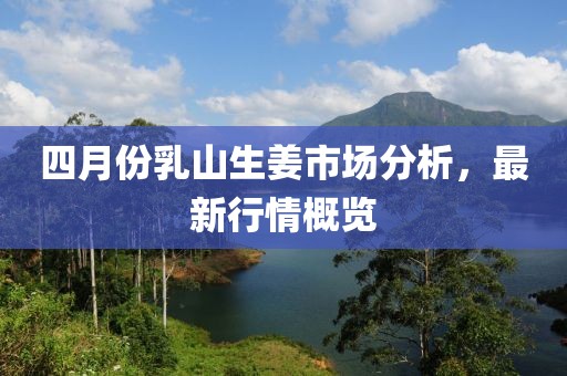 四月份乳山生姜市場分析，最新行情概覽