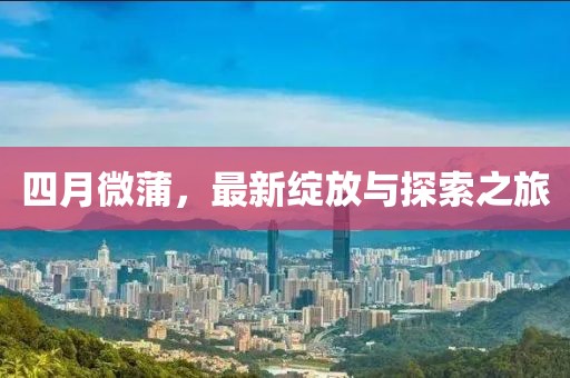 四月微蒲，最新綻放與探索之旅
