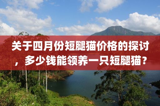 關(guān)于四月份短腿貓價(jià)格的探討，多少錢能領(lǐng)養(yǎng)一只短腿貓？