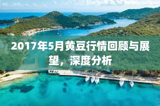 2017年5月黃豆行情回顧與展望，深度分析