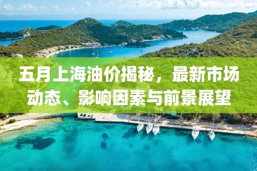 五月上海油價揭秘，最新市場動態(tài)、影響因素與前景展望