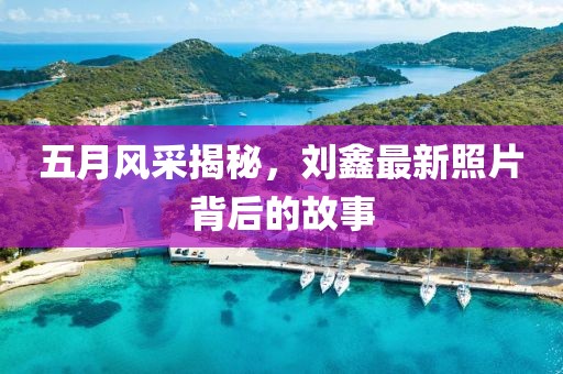 五月風(fēng)采揭秘，劉鑫最新照片背后的故事