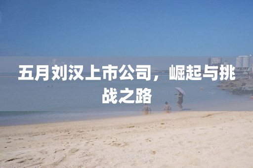 五月劉漢上市公司，崛起與挑戰(zhàn)之路