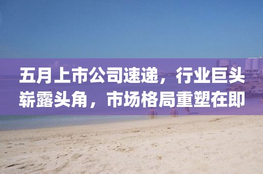 五月上市公司速遞，行業(yè)巨頭嶄露頭角，市場格局重塑在即