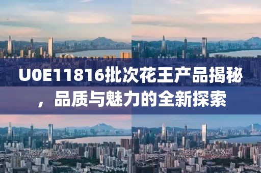 U0E11816批次花王產(chǎn)品揭秘，品質(zhì)與魅力的全新探索