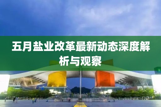 五月鹽業(yè)改革最新動(dòng)態(tài)深度解析與觀察