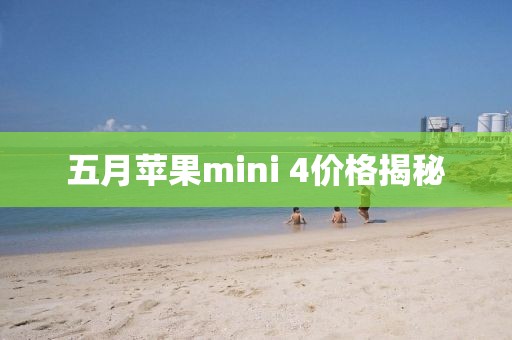 五月蘋果mini 4價格揭秘