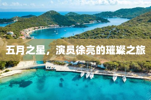 五月之星，演員徐亮的璀璨之旅