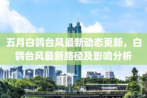 五月白鴿臺風最新動態(tài)更新，白鴿臺風最新路徑及影響分析