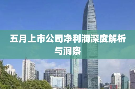 五月上市公司凈利潤深度解析與洞察