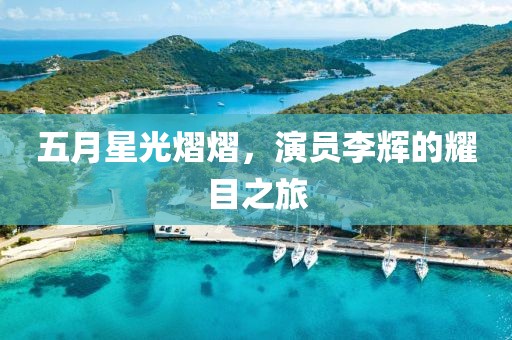 五月星光熠熠，演員李輝的耀目之旅